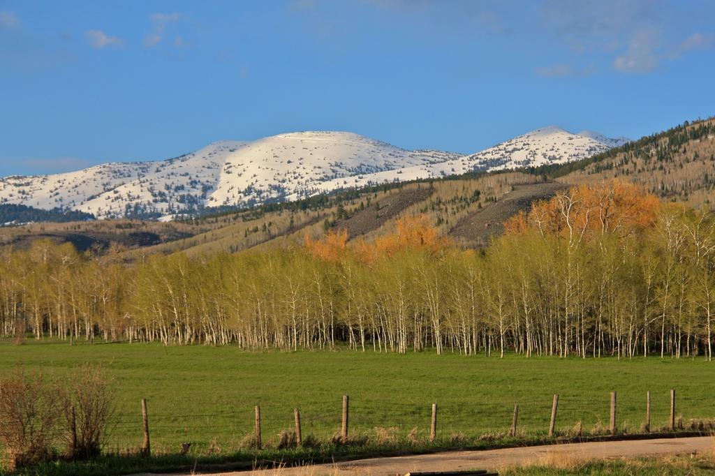 Teton Hostel HideAway Driggs Buitenkant foto
